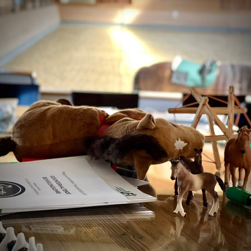 johanna-thanheiser.at